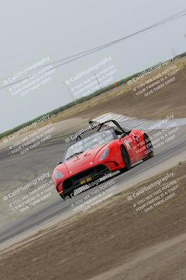 media/Jul-31-2022-Speed Ventures (Sun) [[bfb4b6530b]]/Black Group/Grapevine/